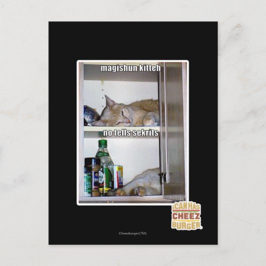 Magishun Kitteh Postkarte (Vorderseite)