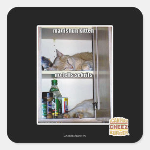 Magishun Kitteh Quadratischer Aufkleber