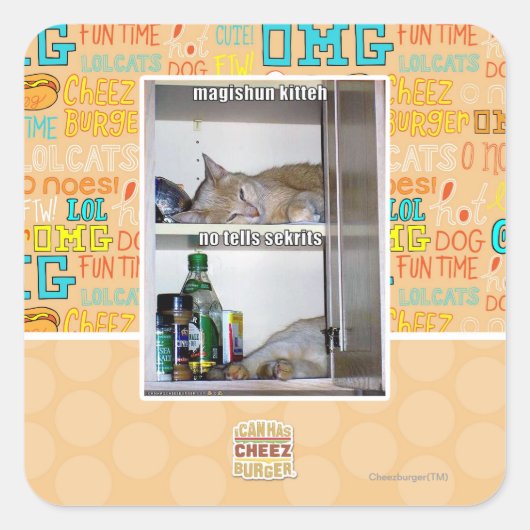 Magishun Kitteh Quadratischer Aufkleber (Vorderseite)