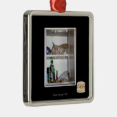 Magishun Kitteh Silbernes Ornament (Rechts)