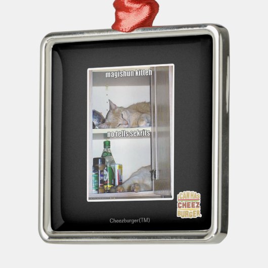 Magishun Kitteh Silbernes Ornament (Links)