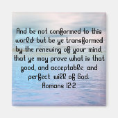 Magnate Magnet (Vorne)