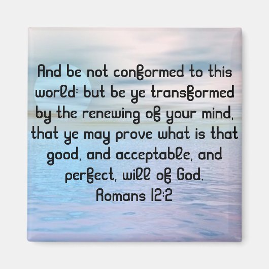 Magnate Magnet (Vorne)