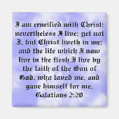 Magnate Magnet (Vorne)