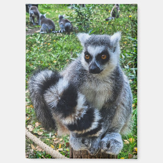 Magneet met ringstaartmaki – unieke dierenprint magnet