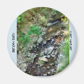 Magnesium am Kühlschrank Magnet (Vorne)