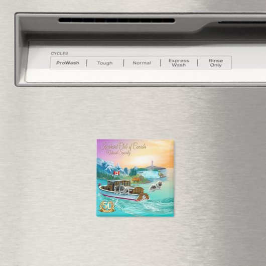 Magnet (In Situ (Geschirrspüler))