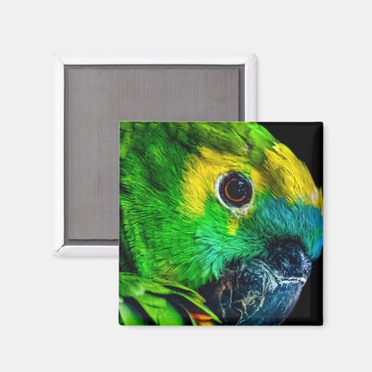 Magnet (Vorderseite/Rückseite)