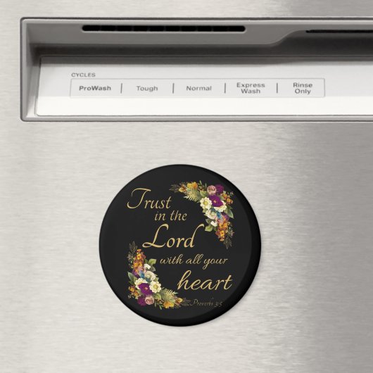 Magnet (In Situ (Geschirrspüler))