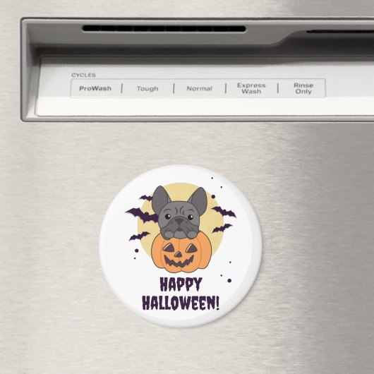 Magnet (In Situ (Geschirrspüler))