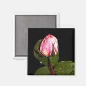 Magnet (Vorderseite/Rückseite)