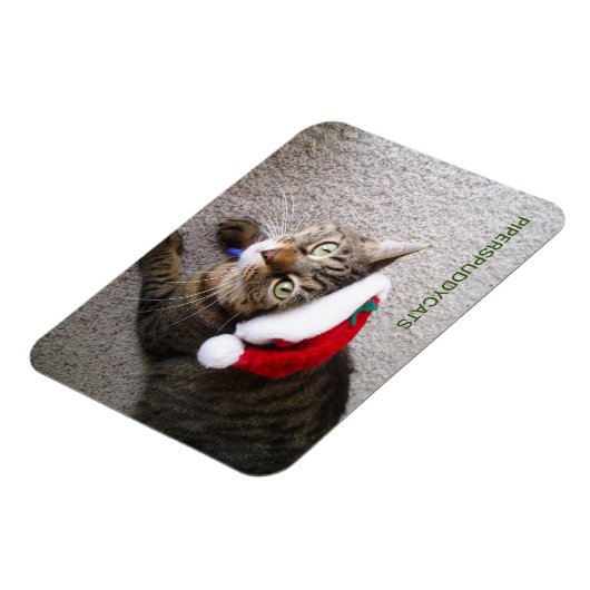 Magnet (Linke Seite)