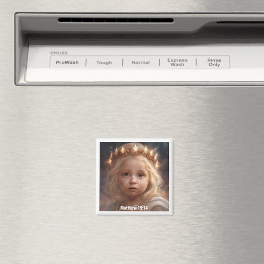 Magnet (In Situ (Geschirrspüler))