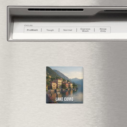 Magnet (In Situ (Geschirrspüler))