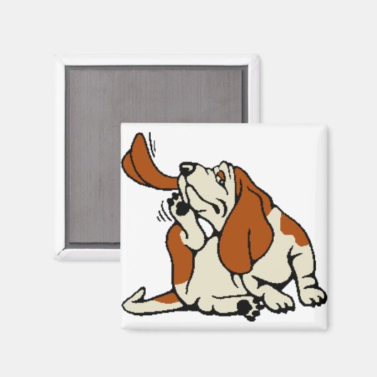 Magnet (Vorderseite/Rückseite)