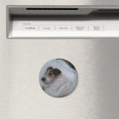 Magnet (In Situ (Geschirrspüler))