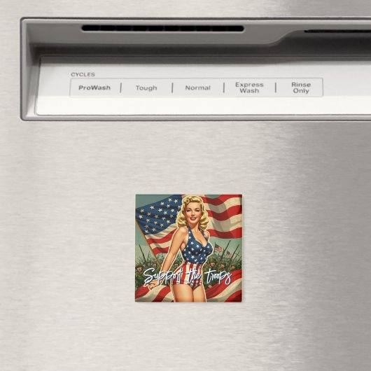 Magnet (In Situ (Geschirrspüler))