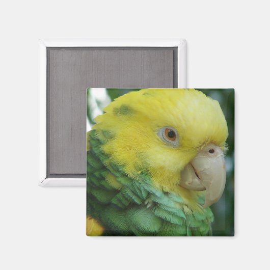 Magnet (Vorderseite/Rückseite)