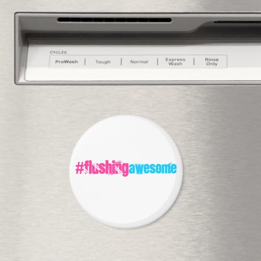 Magnet (In Situ (Geschirrspüler))