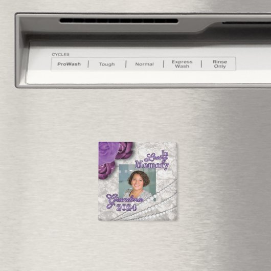 Magnet (In Situ (Geschirrspüler))