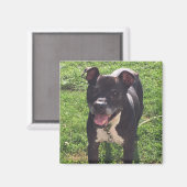 Magnet (Vorderseite/Rückseite)