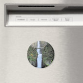 Magnet (In Situ (Geschirrspüler))