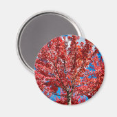 Magnet (Vorderseite/Rückseite)