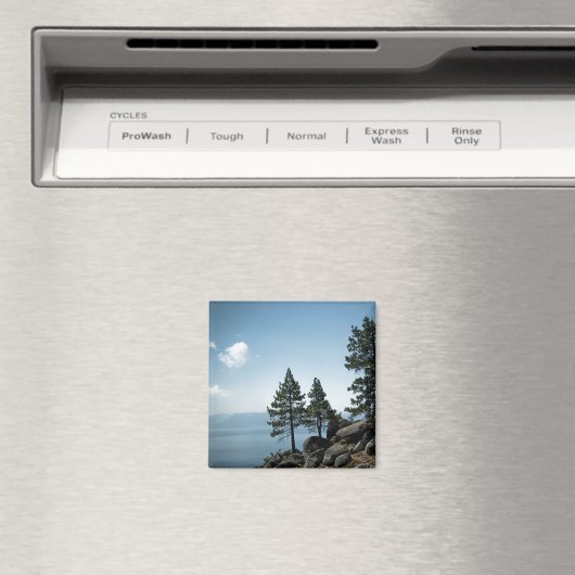 Magnet (In Situ (Geschirrspüler))