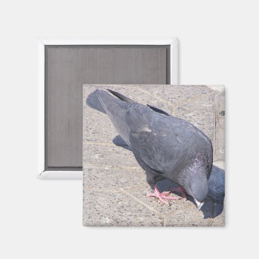 Magnet (Vorderseite/Rückseite)