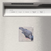 Magnet (In Situ (Geschirrspüler))