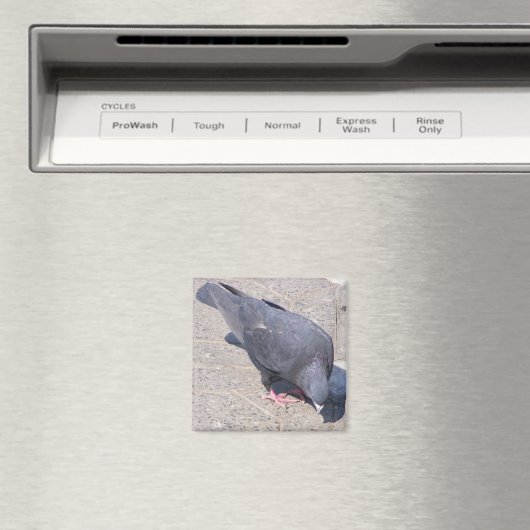 Magnet (In Situ (Geschirrspüler))