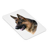 Magnet (Rechte Seite)