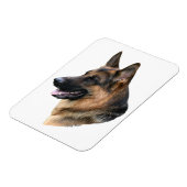 Magnet (Linke Seite)