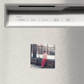 Magnet (In Situ (Geschirrspüler))