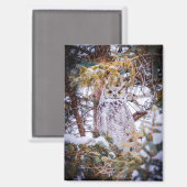 Magnet (Vorderseite/Rückseite)