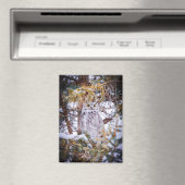 Magnet (In Situ (Geschirrspüler))