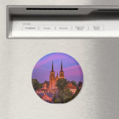 Magnet (In Situ (Geschirrspüler))