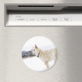 Magnet (In Situ (Geschirrspüler))