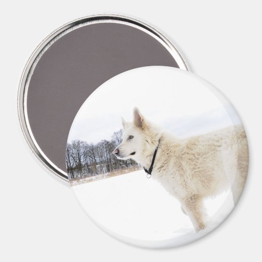 Magnet (Vorderseite/Rückseite)