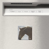 Magnet (In Situ (Geschirrspüler))