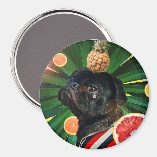 Magnet (Vorderseite/Rückseite)