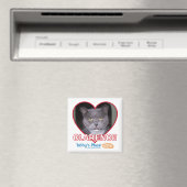 Magnet (In Situ (Geschirrspüler))