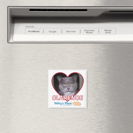 Magnet (In Situ (Geschirrspüler))