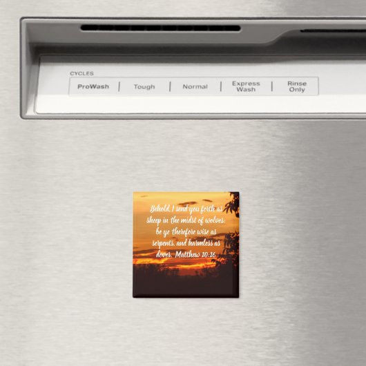 Magnet (In Situ (Geschirrspüler))