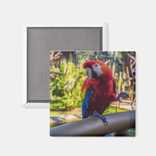 Magnet (Vorderseite/Rückseite)