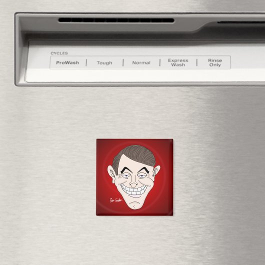 Magnet (In Situ (Geschirrspüler))