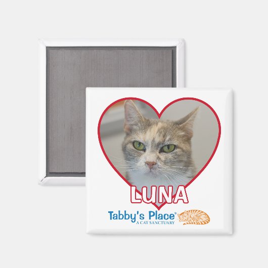 Magnet (Vorderseite/Rückseite)