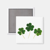 🍀 MAGNET (Vorderseite/Rückseite)