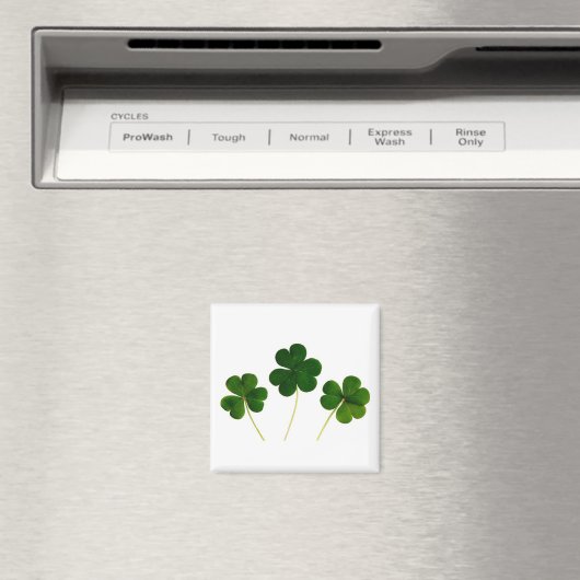 🍀 MAGNET (In Situ (Geschirrspüler))