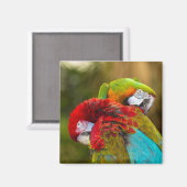 Magnet (Vorderseite/Rückseite)